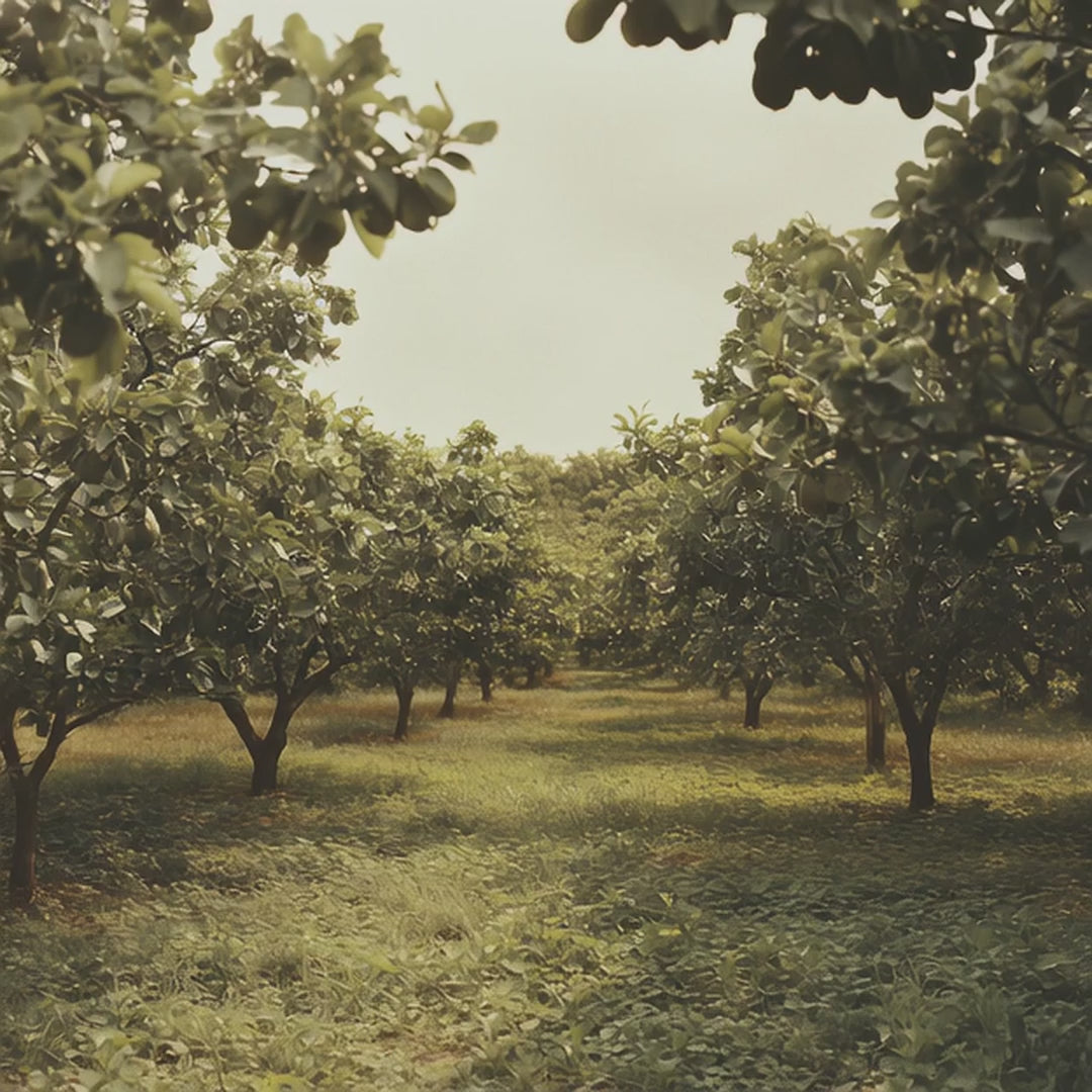 AI generated trees gif